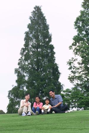 川崎駅近くの快適ビジネスホテル【東横INN Jr.川崎駅前】?利便性と安心の滞在を提供