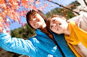 【和歌山駅徒歩4分】東横INN JR和歌山駅東口 – 快適なビジネス・観光拠点の詳細情報