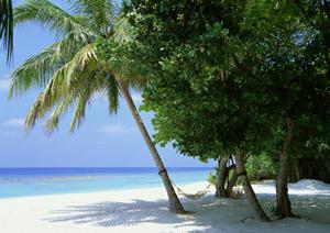 横浜エリアの快適なビジネスホテル｜東横INN横浜線淵野辺駅南口の魅力と概要