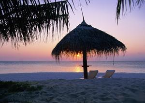 東横INN京王線東府中駅北口の快適な滞在と便利なアクセスを実現するビジネスホテルガイド